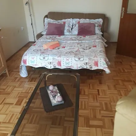 Apartman Anic *